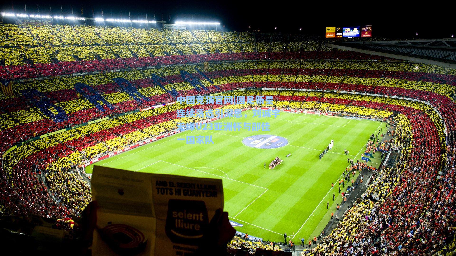 国足新星连续落选引深思，刘诚宇无缘U23亚洲杯与邵佳一国家队