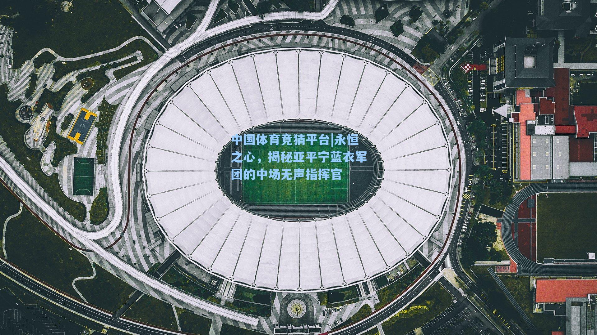 中国体育竞猜平台|永恒之心，揭秘亚平宁蓝衣军团的中场无声指挥官